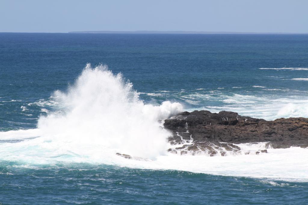 Sea Whispers Bed and Breakfast Kiama Buitenkant foto