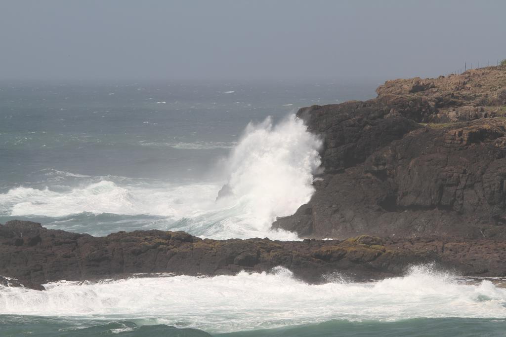 Sea Whispers Bed and Breakfast Kiama Buitenkant foto